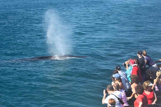 Tour image 2