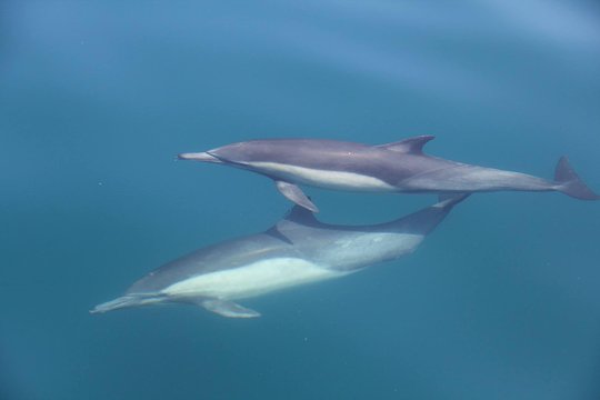 Tour image 11